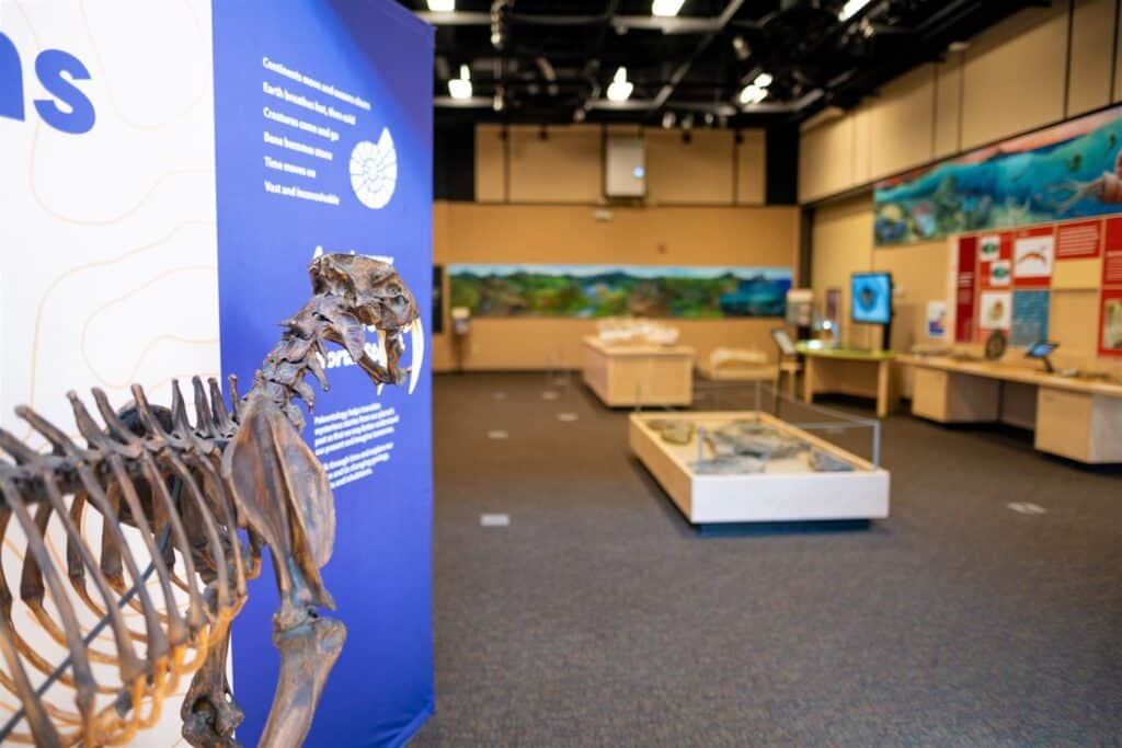 Looking into the fossil display at the Gateway Science Musuem