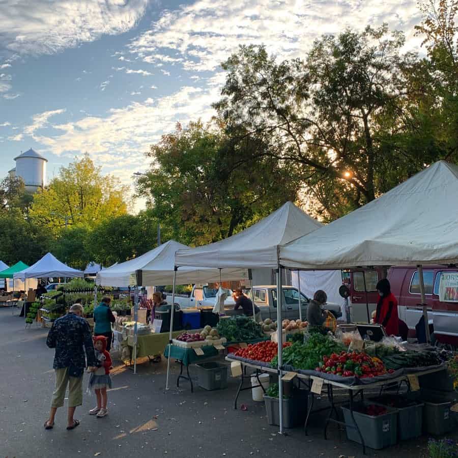 Early morning view of two shoppers at the Chico Saturday Farmers Market