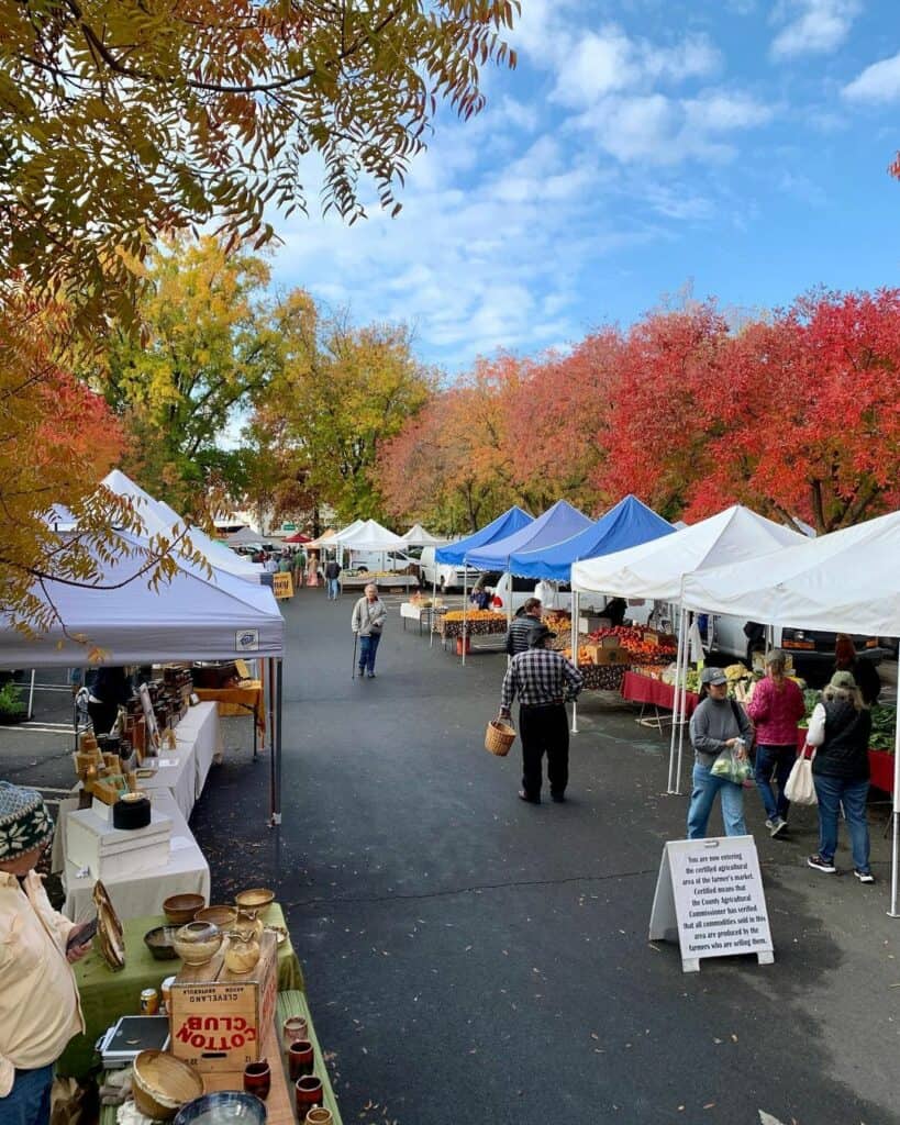 Saturday-Chico-Farmers-Market_2022-11-12_CREDIT_@chicofarmersmarket Two rows of pop-up tents selling produce and local goods in the fall at the Saturday Chico farmers market