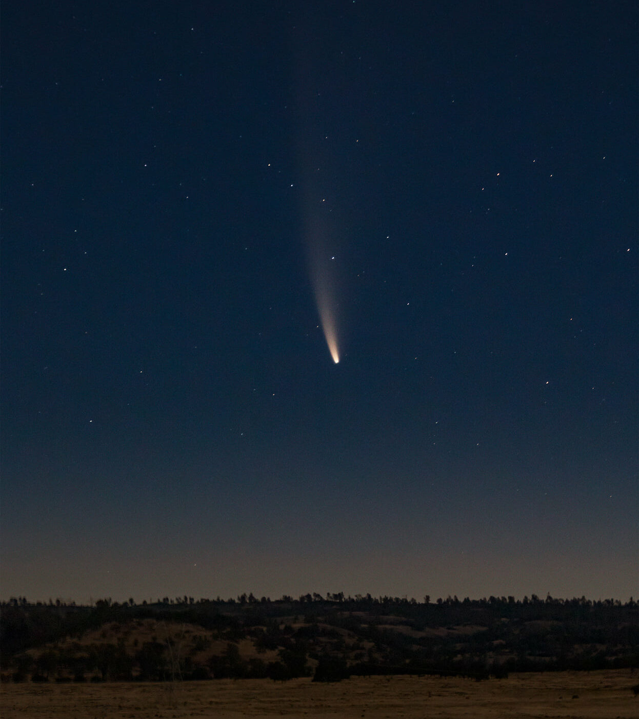 Comet C/2020 F3 (NEOWISE) streaking across the dusk sky over Bidwell Park in 2020
