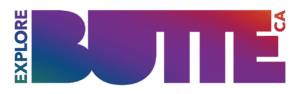 Home 12