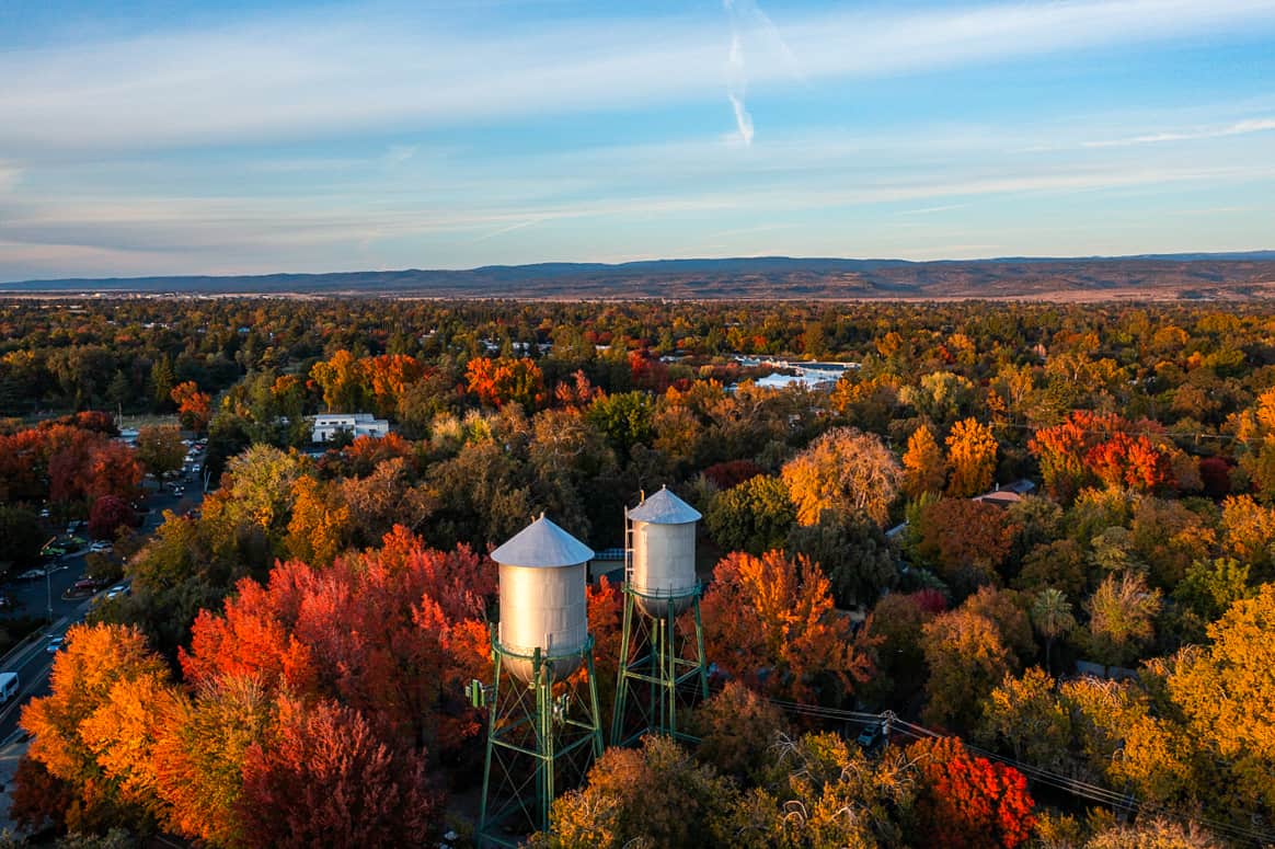 A drone shot of Downtown Chico water towers in the fall, surrounded by red and yellow-leafed trees