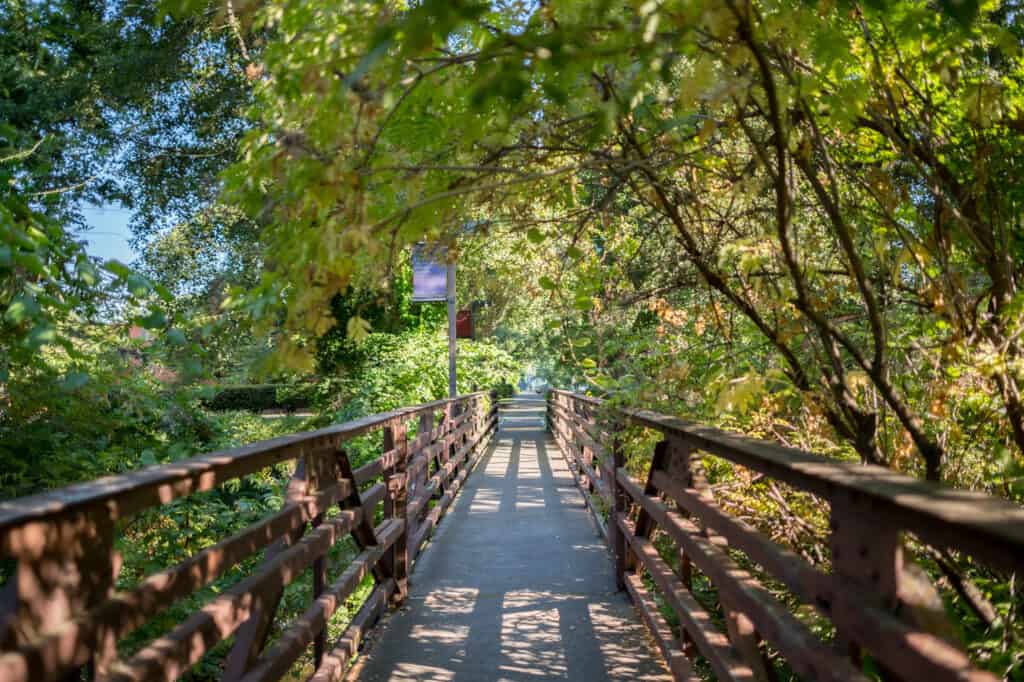 Looking across a bridge at Chico State