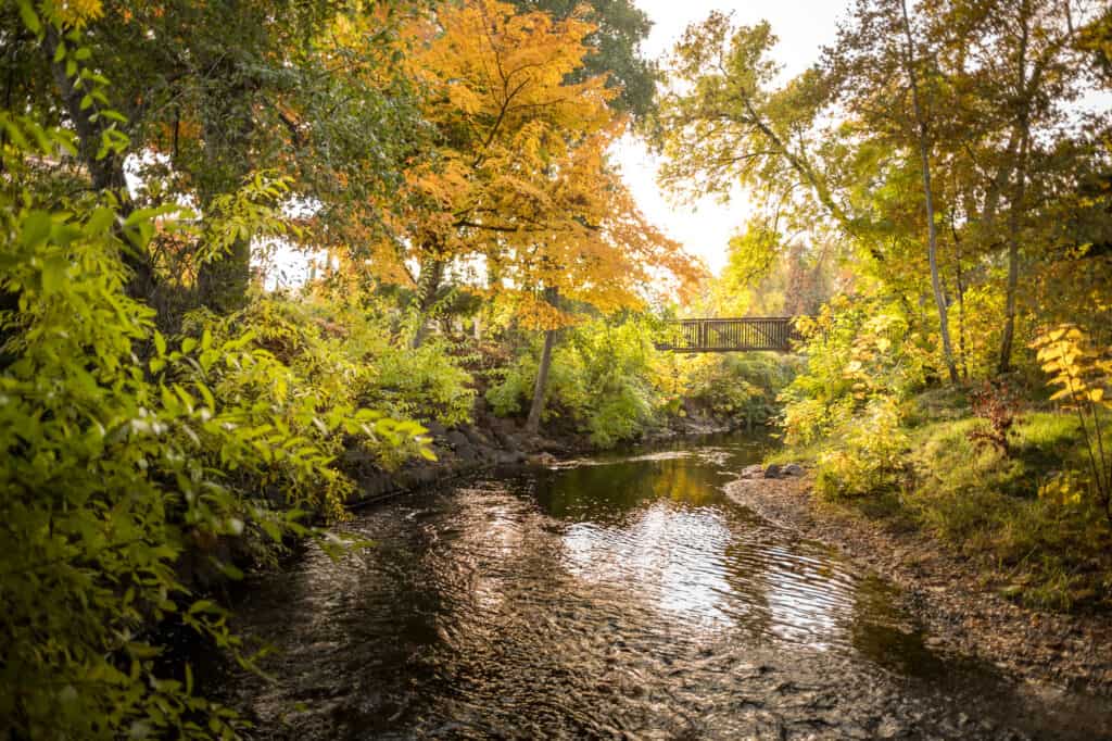 Big Chico Creek at Chico State in the Fall