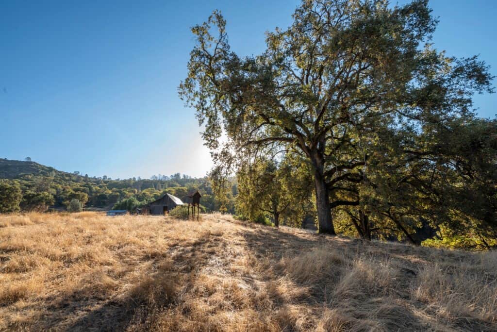 Big Chico Creek Ecological Reserve