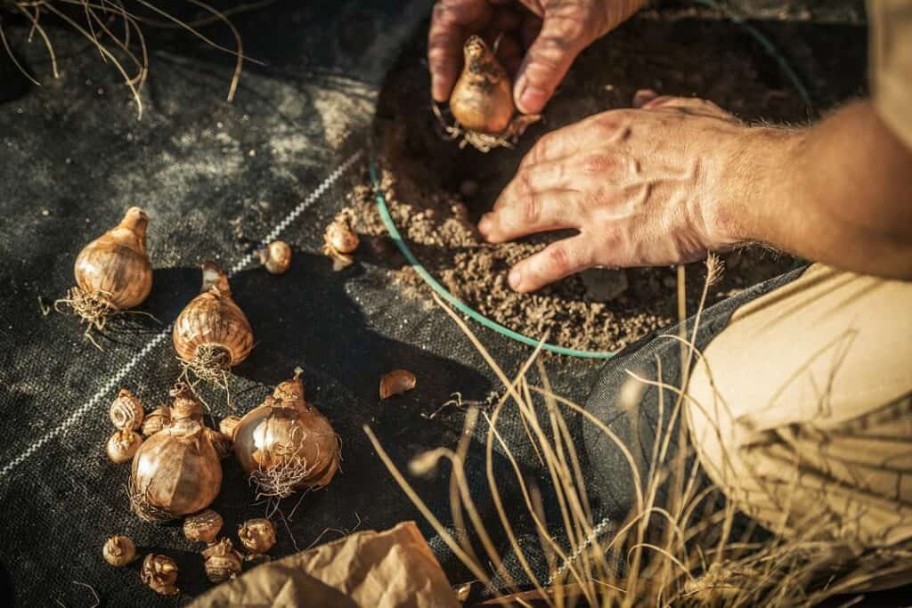 Ag Goes Urban: Explore Chico's Rich Farm-to-Fork Scene 1