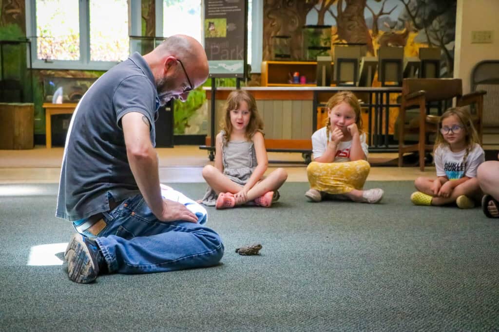 An adult looking at a small animal on the ground with three kids in the background looking at it to