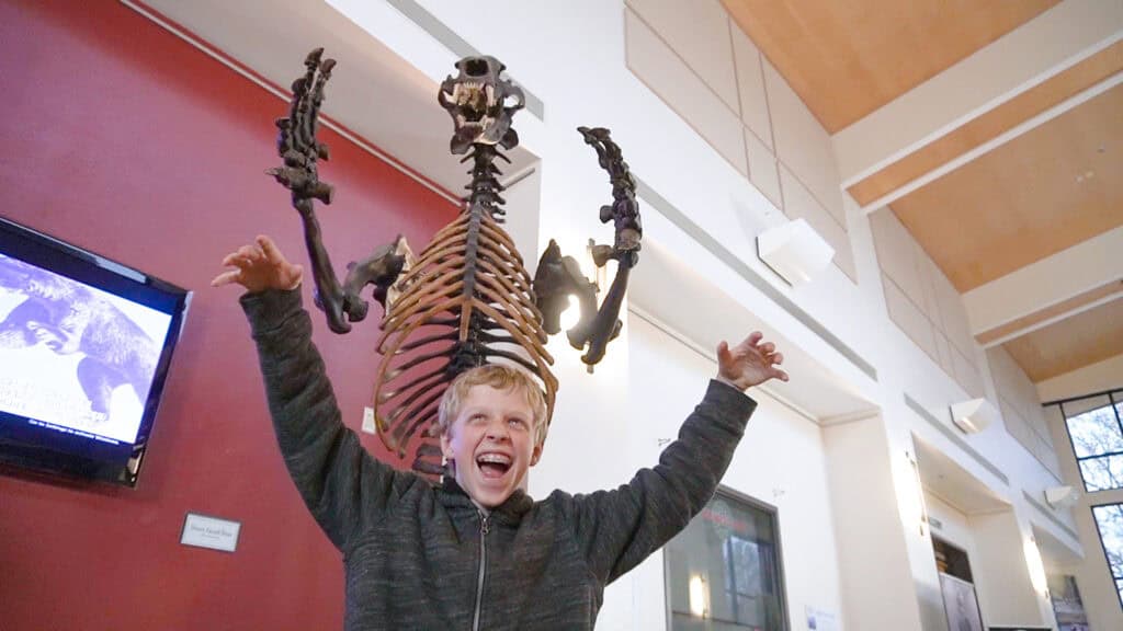 A young boy standing in front of a bear skeleton