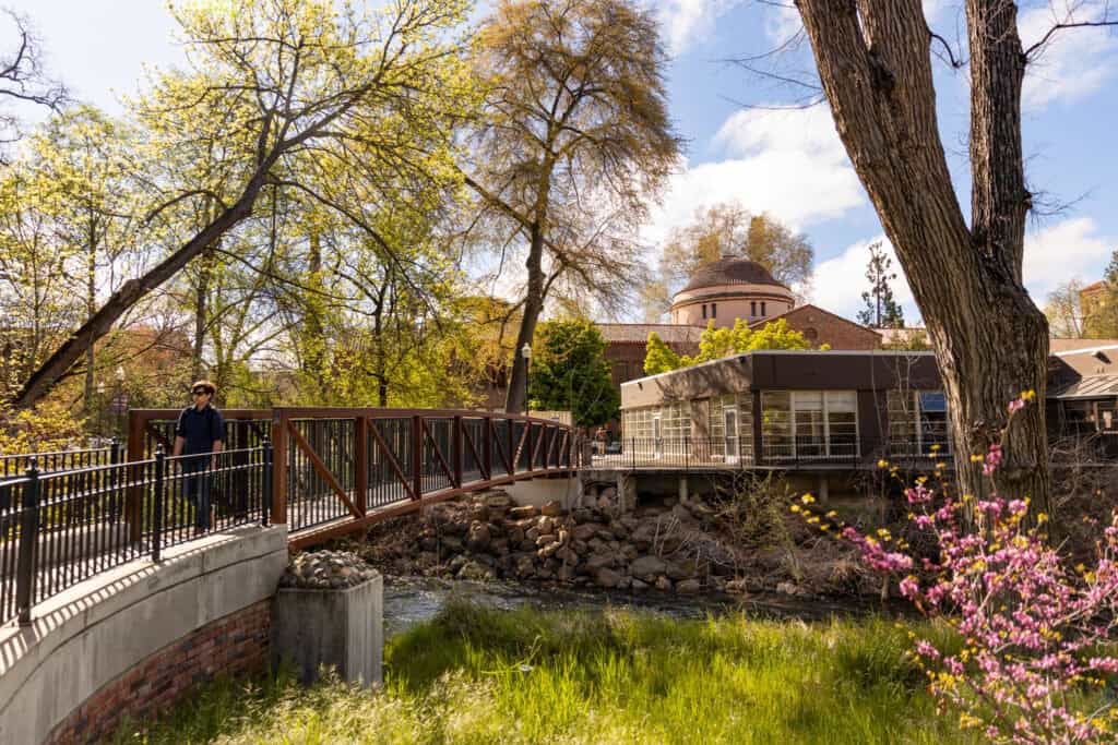 A student walks across a bridge at Chico State in spring